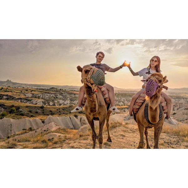 Camel Safari Tours